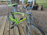 Schwinn fastback
