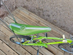 Schwinn fastback