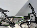 Large Giant Roam Dual Sport Bike