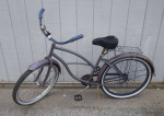 Beach Cruiser