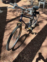 Women's Bike