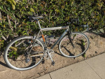 Titanium Triathlon Road Bike Campagnolo Custom