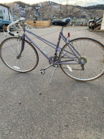 Raleigh Olympian 575SL 12 speed