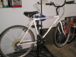 Fuji Sandblaster MTN bike