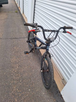 Custom 20 in 3 speed bike
