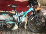 Diamondback Youth Bike