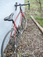 Giant Avail road bike