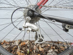 Giant Avail road bike