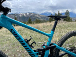 Specialized Enduro L