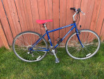 SPECIALIZED HYBRID
