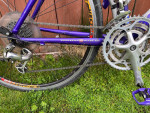 TREK ROAD BIKE