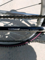 Pacific Elite SX