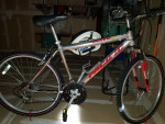 Pacific Elite SX