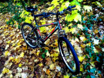Nishiki Pueblo 26'' Boys / Mans Mountain Bike