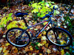 Nishiki Pueblo 26'' Boys / Mans Mountain Bike