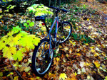 Nishiki Pueblo 26'' Boys / Mans Mountain Bike