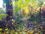 Nishiki Pueblo 26'' Boys / Mans Mountain Bike