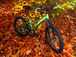 Diamondback Bicycles Tess 24 Youth Girls / Boys Mountain Bike Green
