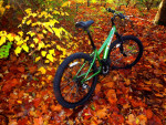 Diamondback Bicycles Tess 24 Youth Girls / Boys Mountain Bike Green