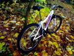 schwinn Womens Girls Ranger 26" Mountain Bike 21 speed