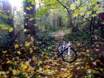 schwinn Womens Girls Ranger 26" Mountain Bike 21 speed