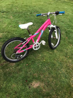 Fuji Dynamite kids bike 20"