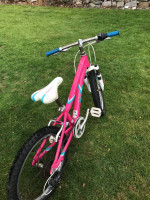 Fuji Dynamite kids bike 20"