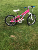 Fuji Dynamite kids bike 20"