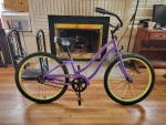Young ladies Cruiser Phat Cycle Sea Wind