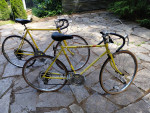 Schwinn Continental and Sears Free Spirit