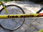 Schwinn Continental and Sears Free Spirit