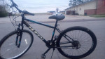New mens mountain bike