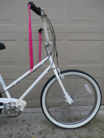 Schwinn Cruiser 5 Speed step through bicycle (medium)