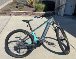 Trek Powerfly 4 E-bike
