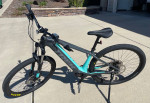 Trek Powerfly 4 E-bike