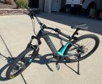Trek Powerfly 4 E-bike