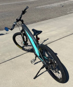 Trek Powerfly 4 E-bike