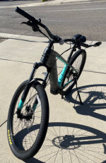 Trek Powerfly 4 E-bike