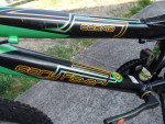 Gary Fisher Cosmo 20in Kids Alum 6spd