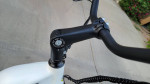 Step Thru Electric bike Bafang Motor 750w