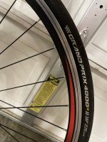 Trek Madone