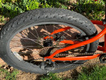Kids Trek Rosco 24