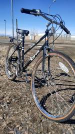 Vintage Women's Open Road 12 Speed ATB Bicycle