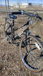 Vintage Women's Open Road 12 Speed ATB Bicycle