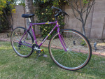 Diamondback Override 1992