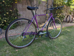 Diamondback Override 1992