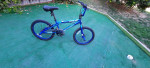 Genisis Chrome 2.00 20in. Bike
