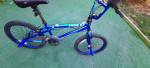 Genisis Chrome 2.00 20in. Bike