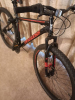Let loose the mongoose