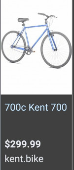 Single Speed High Roller 700c Bike